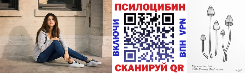 сколько стоит  Алейск  Псилоцибиновые грибы Psilocybine cubensis 