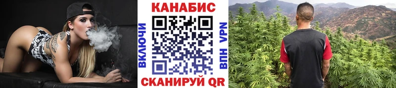 Каннабис план  Алейск 